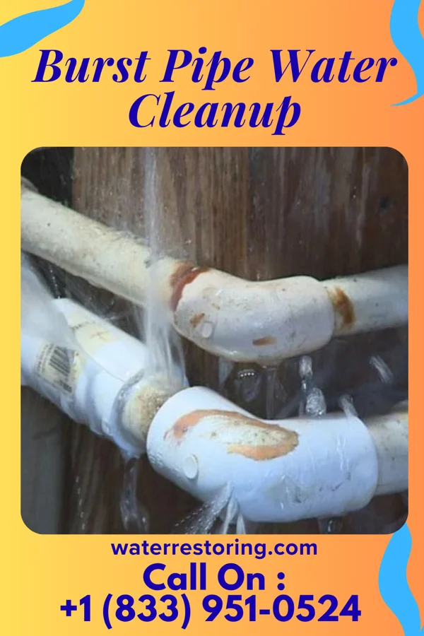 Burst Pipe Water Cleanup in Hilbert, WI