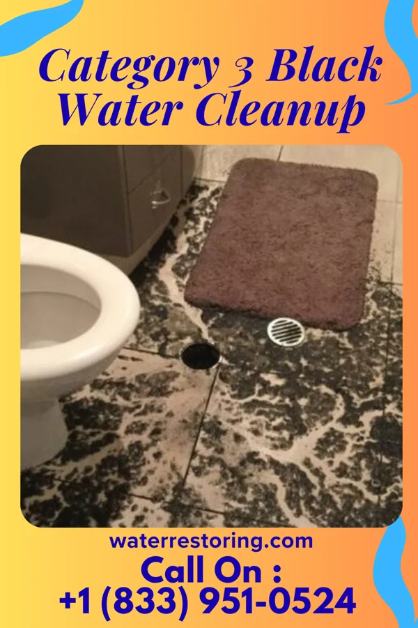 Category 3 Black Water Cleanup in Hilbert, WI