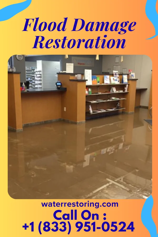 Flood Damage Restoration in Hilbert, WI