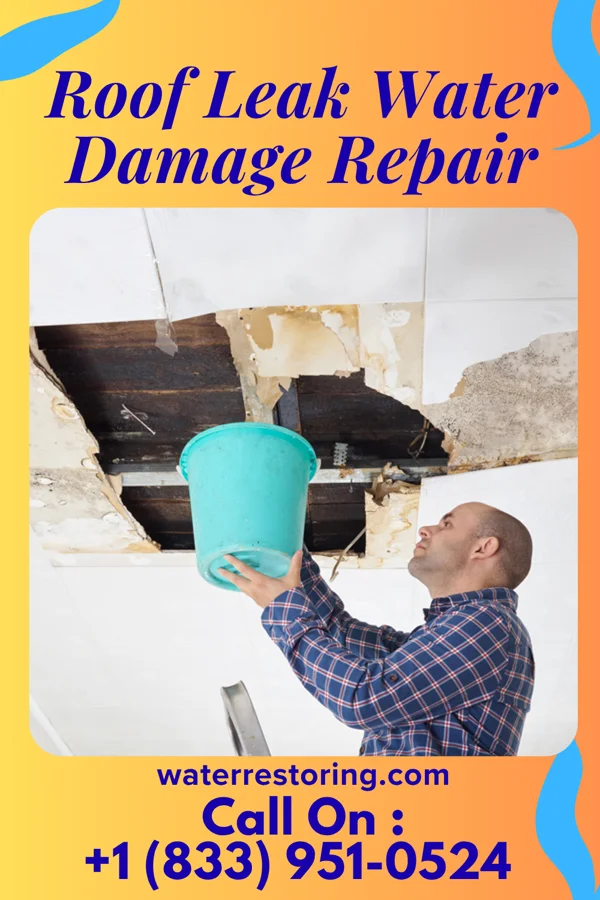 Roof Leak Water Damage Repair in Hilbert, WI