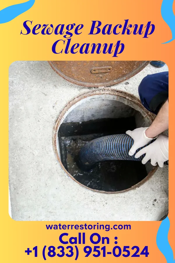 Sewage Backup Cleanup in Hilbert, WI
