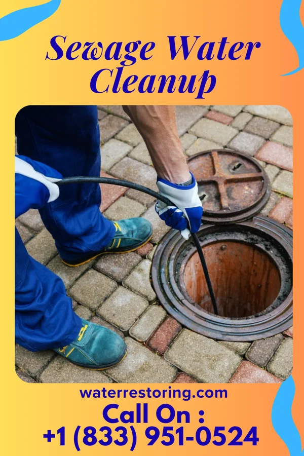 Sewage Water Cleanup in Hilbert, WI