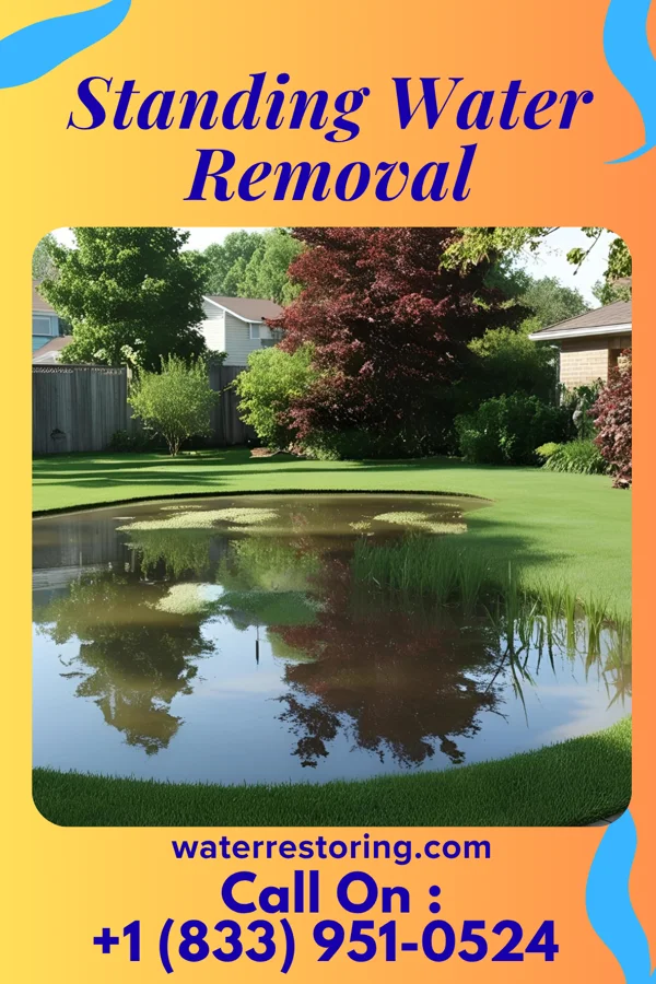 Standing Water Removal in Hilbert, WI